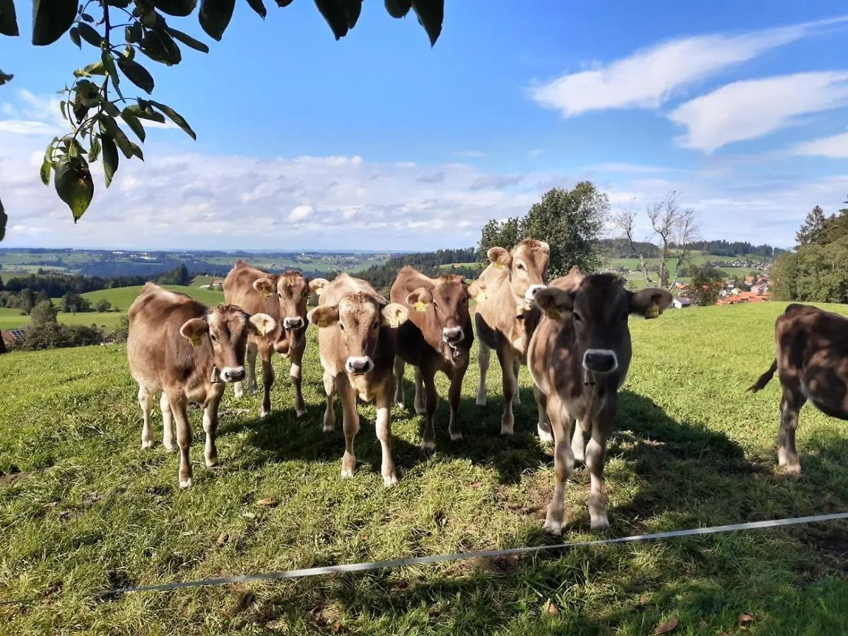 Ferienwohnung Pickenhan Scheidegg Allemagne