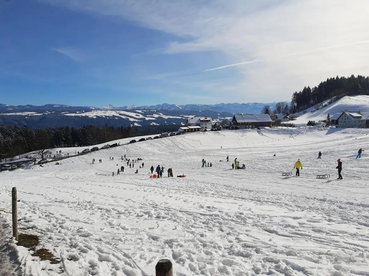 Apartment Ferienwohnung Pickenhan Scheidegg